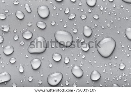 Drops of water on a color background. Gray.