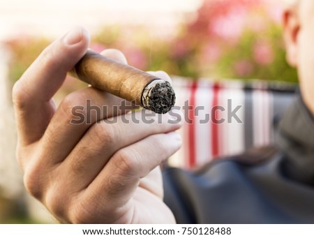 Detail of the hand of a smoking man holding a burning cigar in a garden with a blurred background Royalty-Free Stock Photo #750128488