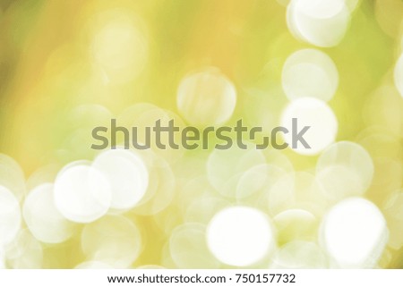 Yellow and green bokeh background from natural forest