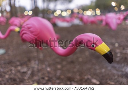 Cancer Awareness Pink At Lake Eola Orlando Royalty-Free Stock Photo #750164962