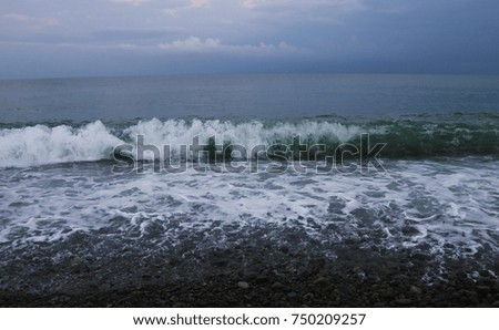 beautiful wave on the sea