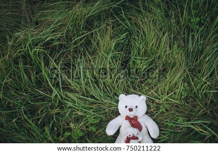 A two white teddy bear is sitting on the green grass. Top view.