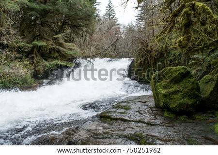 Roaring Alsea Falls: Heavy flow down the alsea falls. Royalty-Free Stock Photo #750251962