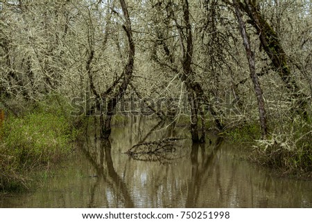 Muddy Creek II: Muddy Creek just before Spring. Royalty-Free Stock Photo #750251998
