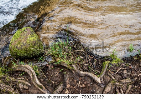 River's Edge, South Fork Alsea River-2: The water's edge of the South Fork Alsea River is covered in loose rocks and roots emerging from the dirt. Royalty-Free Stock Photo #750252139