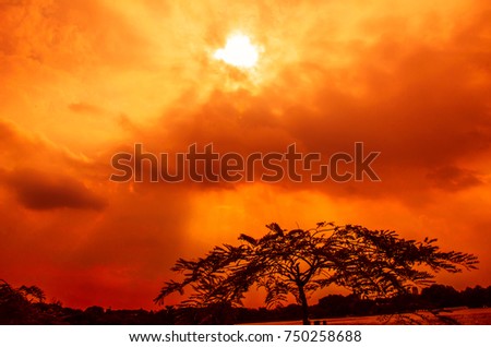 Silhouette picture of Red sky cloud at sunset ray light from the sky, tree with red sky