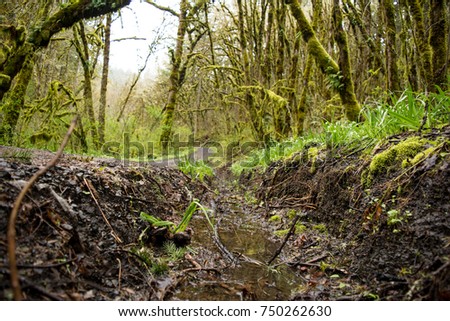 Drainage Ditch: The perspective from a drainage ditch on the Bald Hill Trail. Royalty-Free Stock Photo #750262630