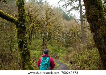Early Spring Wonder: A woman stands in the midst of a lush forest on the Mulkey Ridge Trail in early Spring. Royalty-Free Stock Photo #750262678