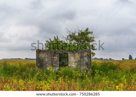 abandoned house in the field