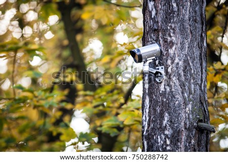 Security camera on tree, surveillance in the forest