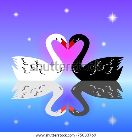 Two  swans in love