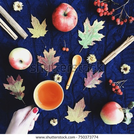 Flat lay autumn background. Concept with cup of tea, spoon, rowan, vanilla, apples and oak leaves. Top view.