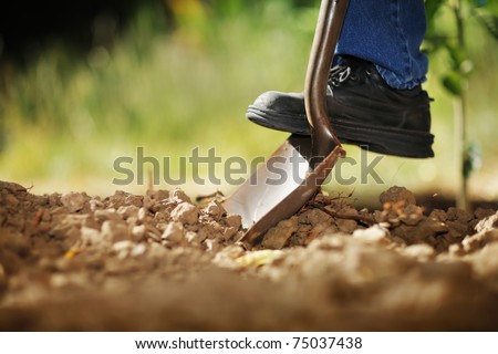 Digging spring soil with shovel. Close-up, shallow DOF. Royalty-Free Stock Photo #75037438