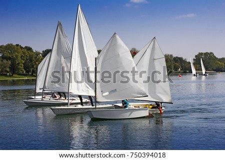 Sports sailing in Lots of Small white boats on the lake 