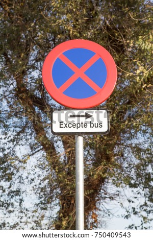 Spanish 'No Stopping except buses' sign against a tree background