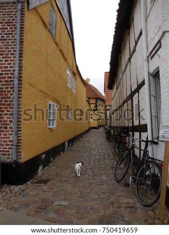 Ribe, Denmark Alley Yellow White Brick Building Black and White Cat