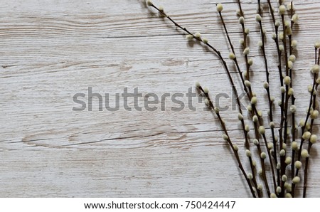 Christmas theme display. Pussy willow on wooden background with copy space. Flat lay. Holidays concept.
