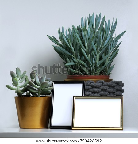 plant and frame, mockup