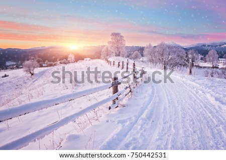 Winter landscape. Winter road and trees covered with snow Royalty-Free Stock Photo #750442531