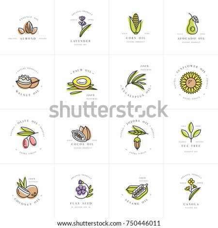 Vector set design templates and emblems - healthy and cosmetics oils. Different natural, organic oils. Logos in trendy linear style Royalty-Free Stock Photo #750446011