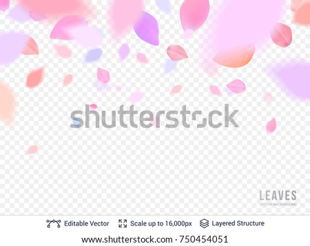 Pink pastel petals on transparent background. Flower blossoms flying falling effect. Vector backdrop template for Women, Mother Day, Valentine, wedding or greeting card design.