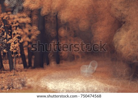 autumn blurred background with bokeh, landscape in autumn october park along alley with trees, autumn background for design and text, background with fallen yellow leaves concept of autumn pictures
