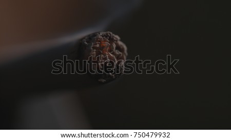 Burning end of a cigarette macro background