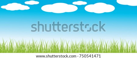Vector illustration of a green grass against the sky