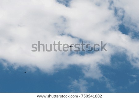 A blue sky with white clouds and an Eagle soaring .