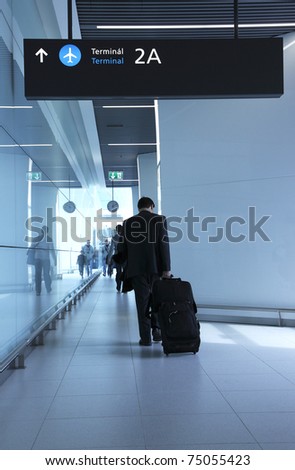 Passengers with luggage in the airport