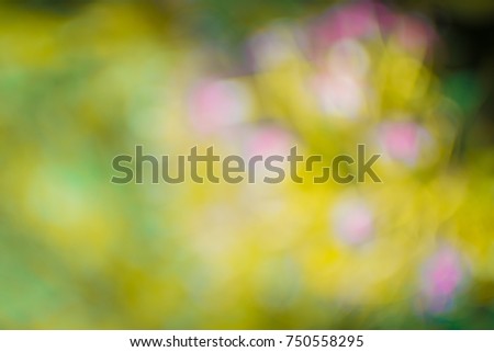 Abstract Yellow blurred background or texture. Abstract blurred soft focus of glamour bright Yelow color background concept.