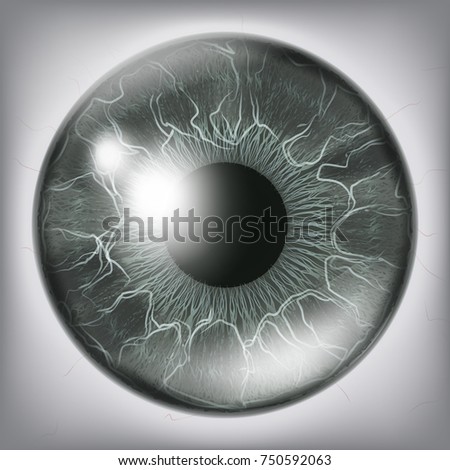 Eye Iris Vector. Vision Medical Concept Illustration
