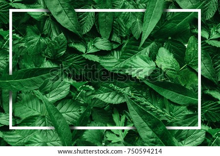 Creative layout made of flowers and leaves with paper card note. Flat lay. Nature concept