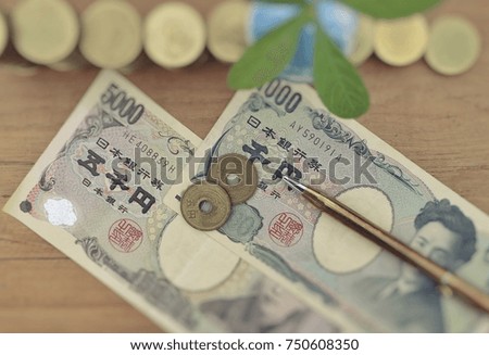 Focus on Japanese banknote and coin and gold pen with blur rolls ladder of money, green small tree plant on wood table  