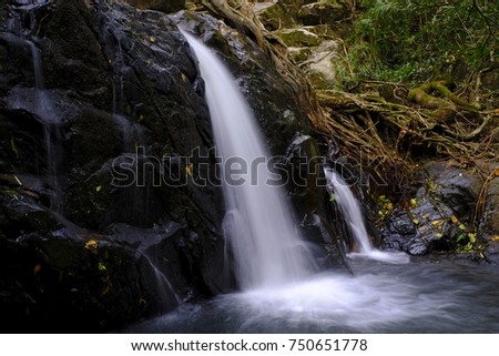 Waterfall landscape. Big mountain tree and water motions. Colorful photography.