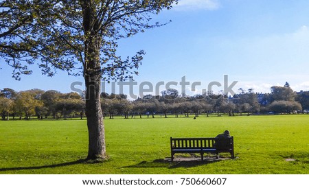 Beautiful Parks and Gardens and Meadows around the neighborhood at the end of spring and early autumn with green and colorful leaves in Halifax Canada and Edinburgh United Kingdom