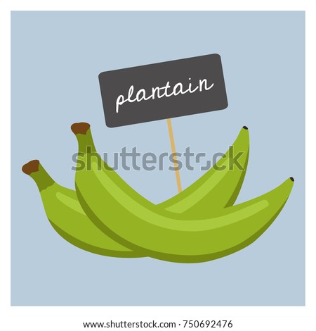Vector Fruit - Plantain Royalty-Free Stock Photo #750692476