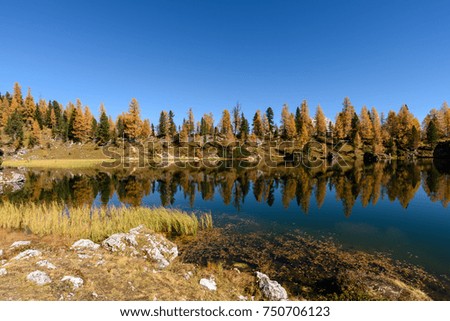 Autumn colors and reflections