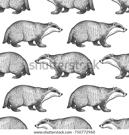 Badger or brock. Seamless pattern with forest animals. Hand drawing of wildlife. Vector illustration art. Black and white. Old engraving. Vintage. Design for fabrics, paper, textiles, fashion.