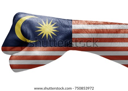 Fist painted in colors of Malaysia flag, fist flag, country of Malaysia