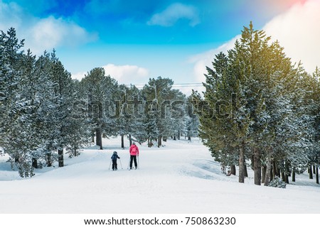 Back view of woman and child are skiing on a snow track on a beautiful winter landscape