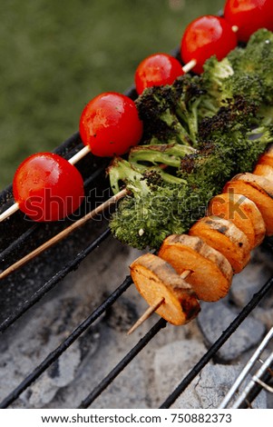 fresh raw vegetable kebab on bbq grid cooked over hot burned charcoal