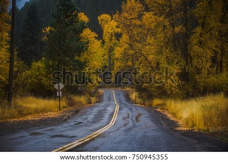 Washington back road in fall