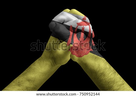 Fist painted in colors of Brunei flag, fist flag, country of Brunei