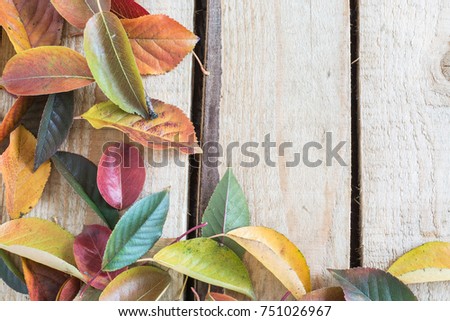 Overhead view of colorful leaves on wooden background