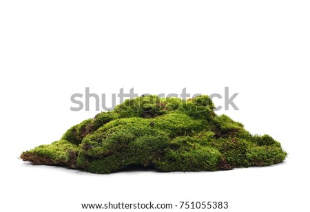 Green mossy hill isolated on white background Royalty-Free Stock Photo #751055383