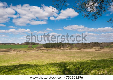 Field and meadow on country in summer