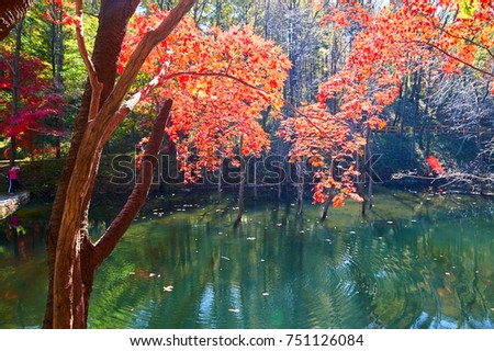 autumn landscape with colorful forest and water
