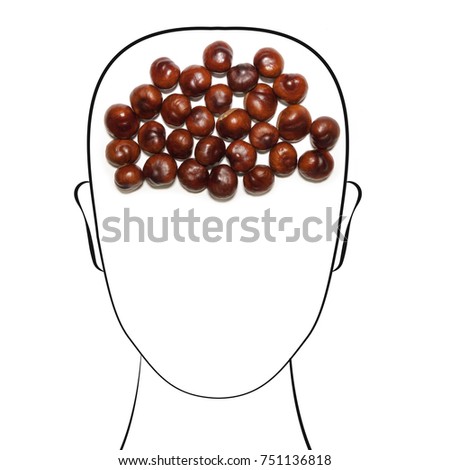 Horse chestnut isolated on white background with cute doodle hand drawn elements. Abstract cartoon human head. Top view. Creative modern composition.