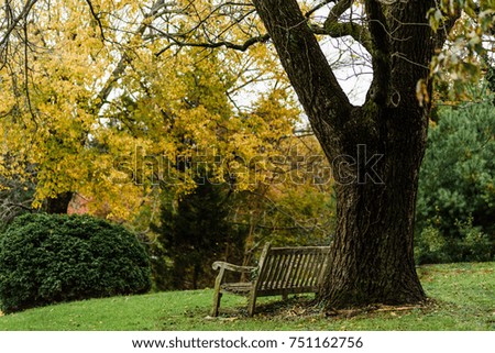 wooden bench in autumn scene